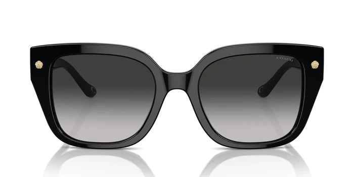 COACH HC8392-Black With Grey Gradient