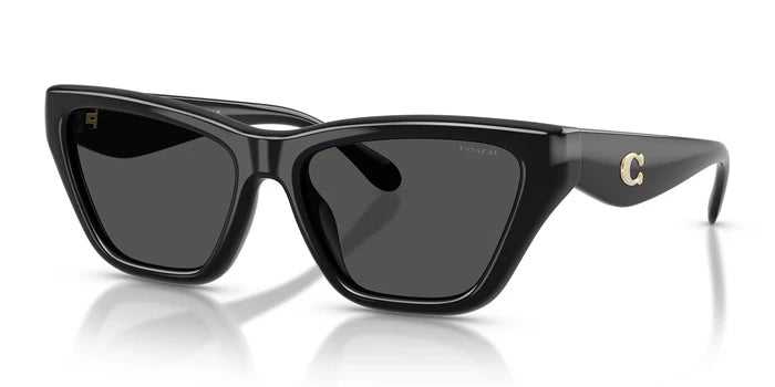 COACH HC8449-Black With Grey Lenses
