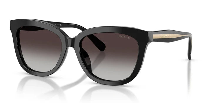COACH HC8453-Black With Grey Lenses