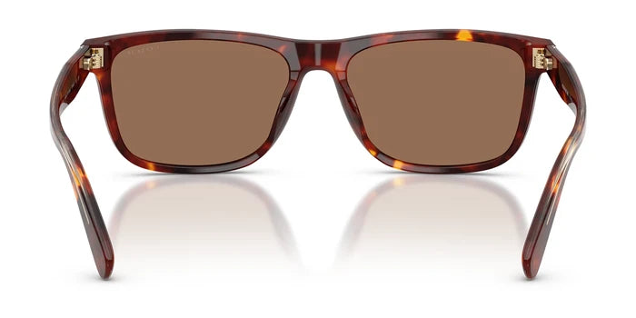 COACH HC8454-Tortoise With Brown Lenses