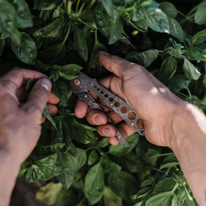 Barebones SHOP Herb Harvest & Strip Tool