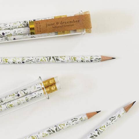 June & December 8" tall x 1" wide June & December - Herb Pencil Terrarium, Set Of 5 Pencils