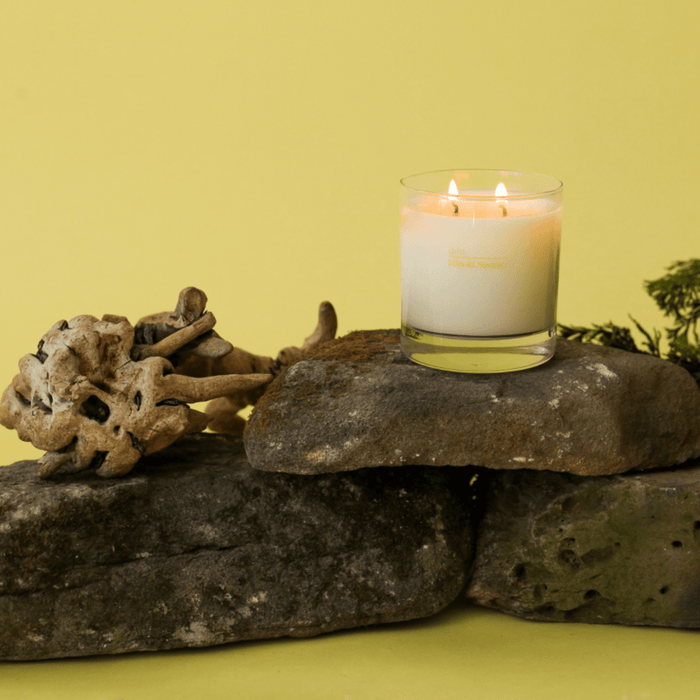 dilo dilo - HINOKI SESAME CANDLE