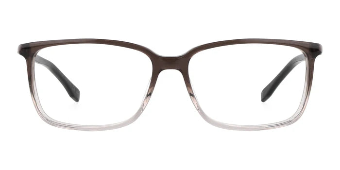 Hugo BOSS 0679-Grey