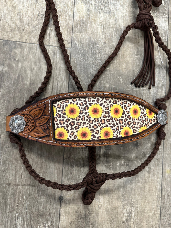 Sunflower Braided mule tape horse halter with bronc noseband