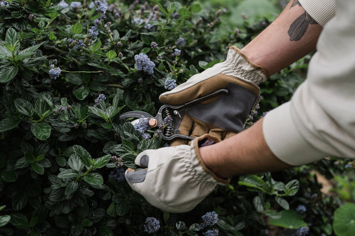 Barebones Gardening Tools Leepa Garden Gloves