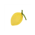 MODERNBEAST Pet Lemon Dog + Cat Toy