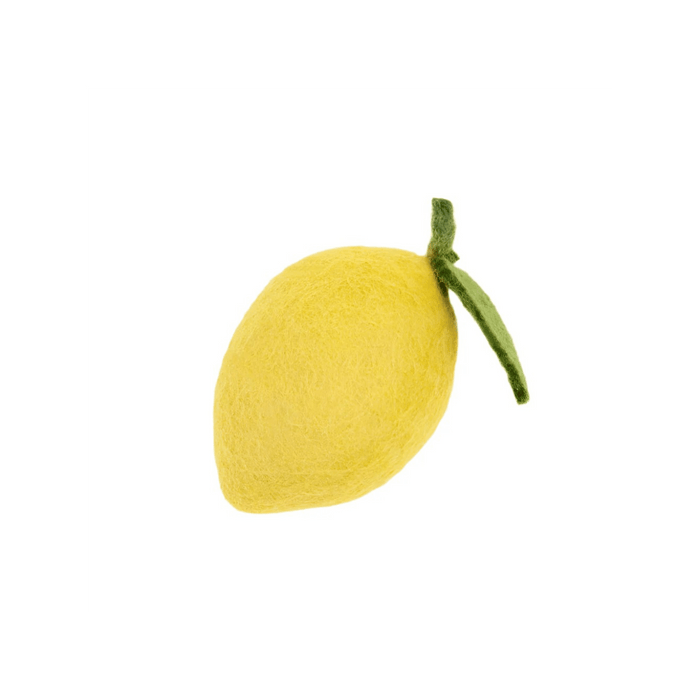 MODERNBEAST Pet Lemon Dog + Cat Toy