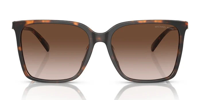 Tortoise / Brown Gradient / L