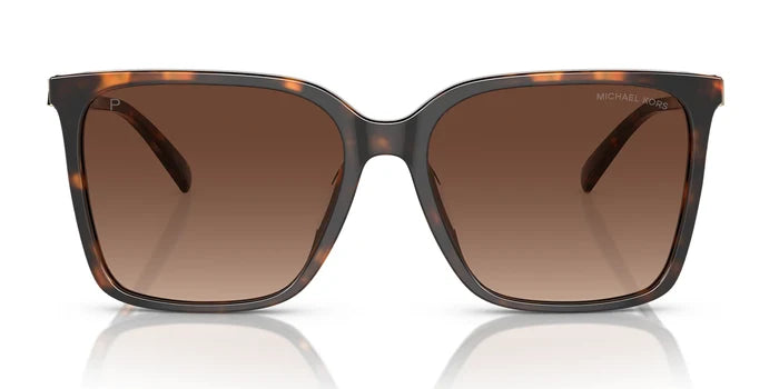 Tortoise / Brown Polarized / L