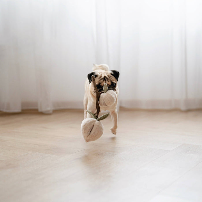 Lambwolf Collective Lambwolf Collective - MOMO//ENRICHMENT DOG TOY