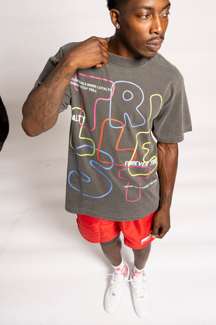 Multi Color T-Shirt (Boxy Fit)- Shadow Gray