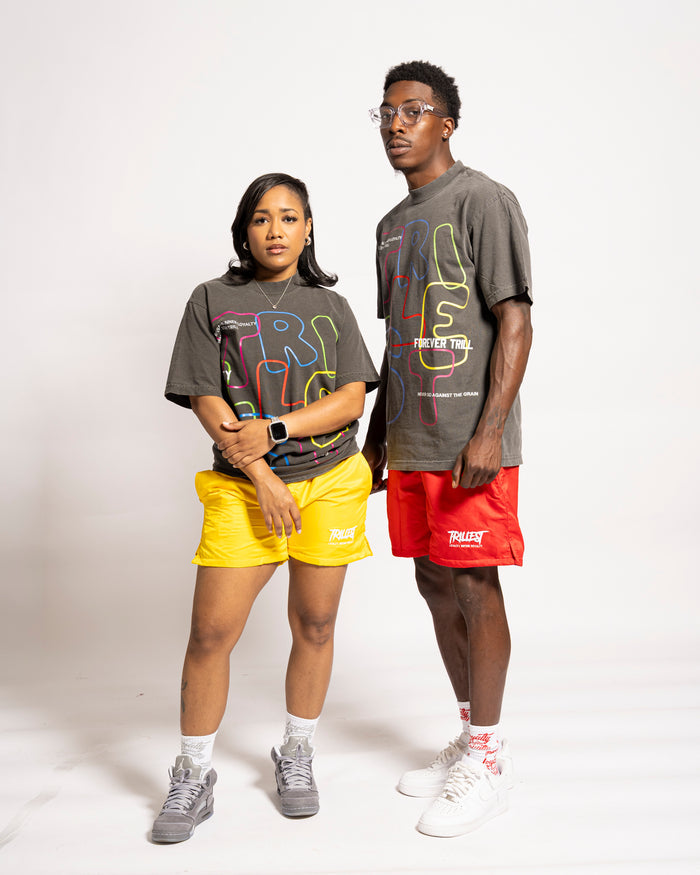 Multi Color T-Shirt (Boxy Fit)- Shadow Gray