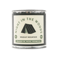 Bradley Mountain Candle Night In The Woods Travel Candle