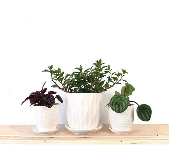 Patrice Planter with Plate