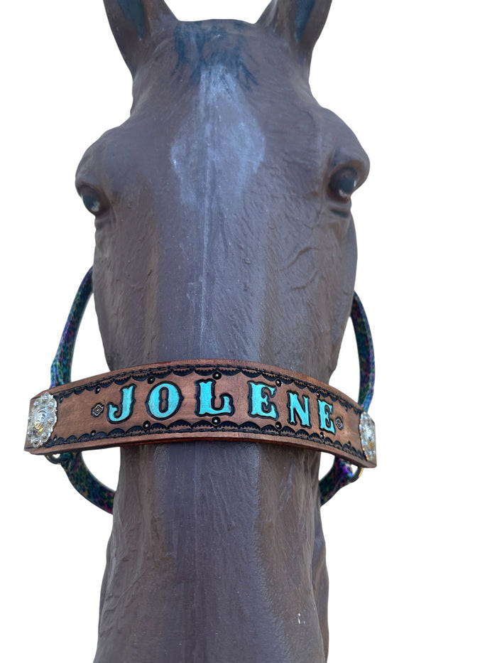 PERSONALIZED horse halter rainbow cheetah