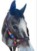 PERSONALIZED serape print nylon horse halter.
