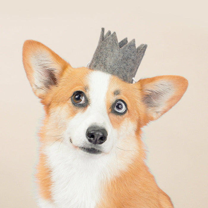 MODERNBEAST Pet Pet Party Crown