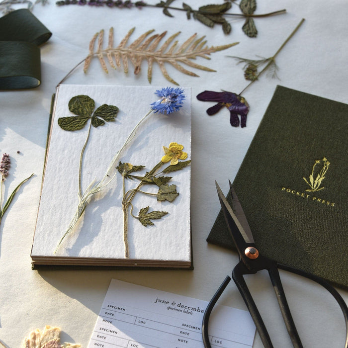 June & December SHOP Pocket Flower Press