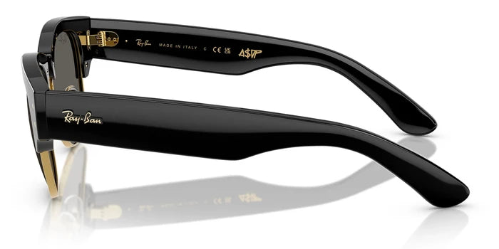 RayBan RB0316-Black With Grey Lenses