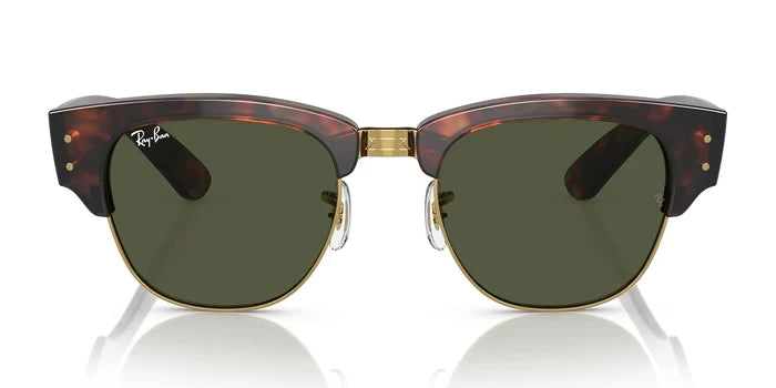 Tortoise / Green / L