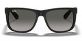 RayBan RB4165-Black With Grey Lenses