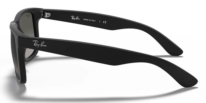 RayBan RB4165-Black With Grey Lenses