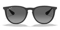 RayBan RB4171- Black / Grey Polarized