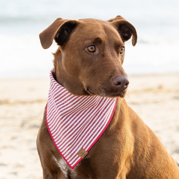 The Foggy Dog SHOP Red Stripe Dog Bandana