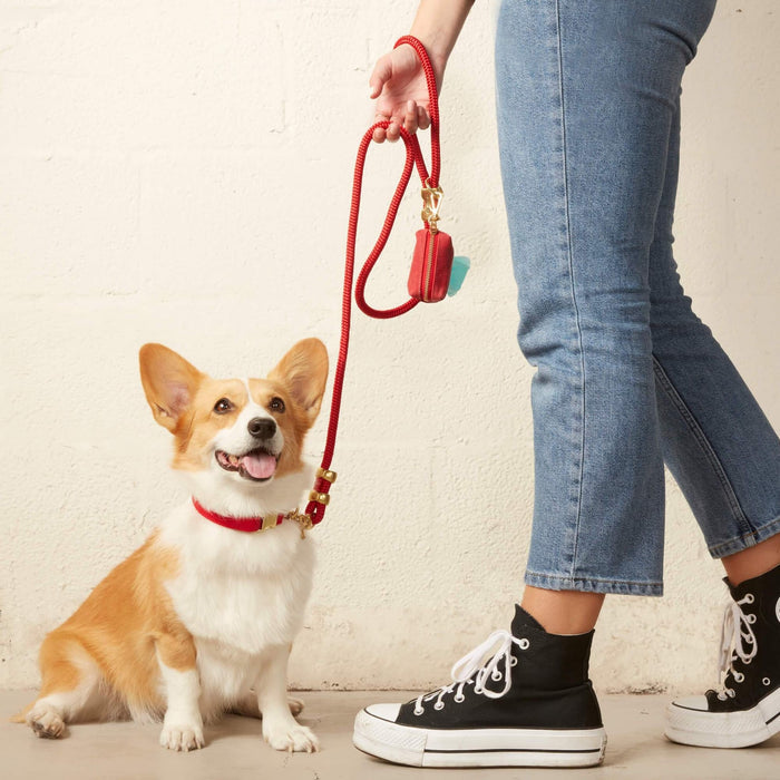 The Foggy Dog SHOP Ruby Pet Waste Bag Dispenser