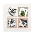 Rustic Photo Display