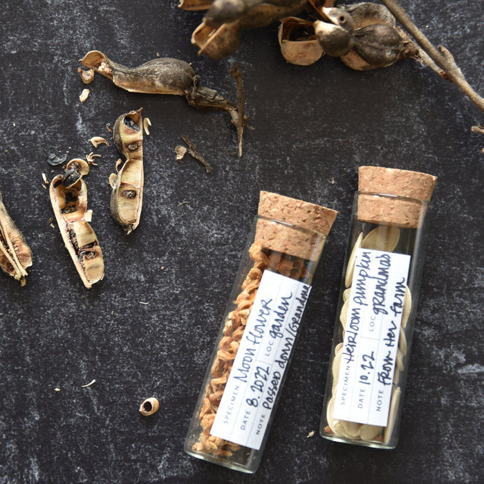 June & December SHOP Seed Collecting Kit