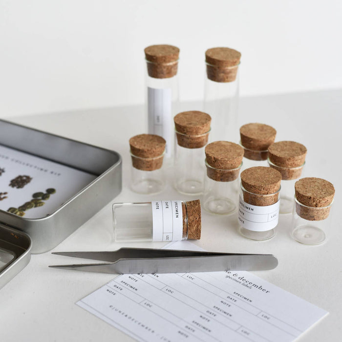 June & December SHOP Seed Collecting Kit