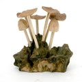 Modern Eastern by Contrast Inc. Decor Six Flat Mushrooms with Two Buds on Driftwood