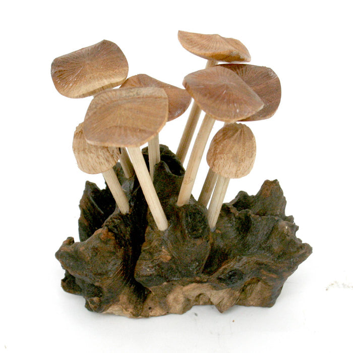 Modern Eastern by Contrast Inc. Decor Six Flat Mushrooms with Two Buds on Driftwood