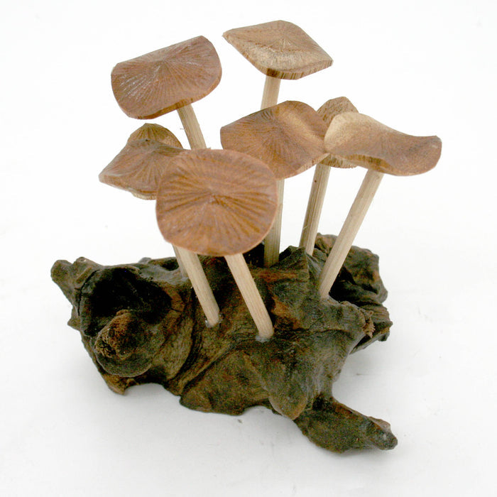 Modern Eastern by Contrast Inc. Decor Six Flat Mushrooms with Two Buds on Driftwood