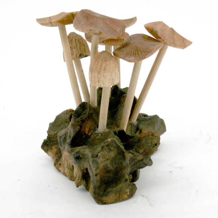 Modern Eastern by Contrast Inc. Decor Six Flat Mushrooms with Two Buds on Driftwood