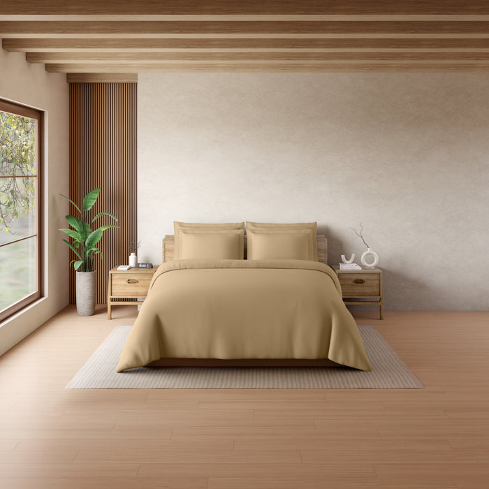 Solid Beige Solid King Size Bedsheet - Eminence By Spaces