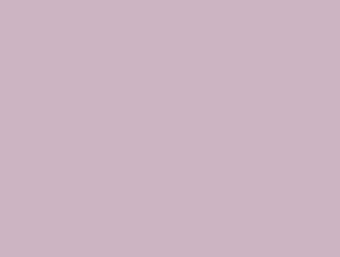 Solid Lilac - Light Violet Hygro Cotton Double Duvet Cover - Hygro By Spaces