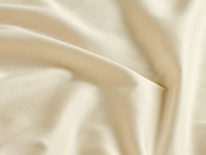 Spaces Aven Ivory Solid 100% Cotton 210 TC Large Bedsheet with 2 Pillow Covers - 108 x 108 Inches
