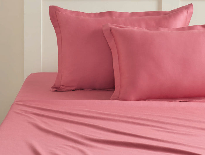 Spaces Aven Rose Solid 100% Cotton 210 TC Large Bedsheet with 2 Pillow Covers - 108 x 108 Inches