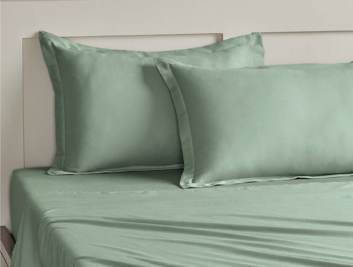 Spaces Aven Sage Solid 100% Cotton 210 TC Large Bedsheet with 2 Pillow Covers - 108 x 108 Inches