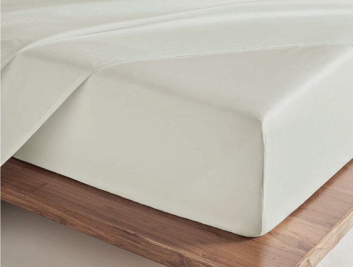 Spaces Aven White Solid 100% Cotton 210 TC Large Bedsheet with 2 Pillow Covers - 108 x 108 Inches