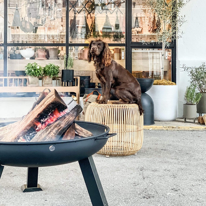 Stainless Steel Fire Pit