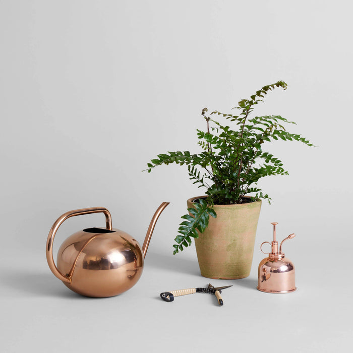 Bloomist Bloomist - Studio Planter, Greenwash