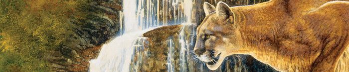 Taste of the Wild Rocky Mountain Feline Cat Food 5 lb.
