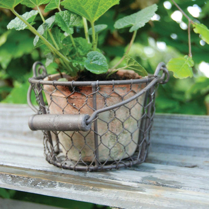 NACH Furniture At Pot in Wire Basket/Handle