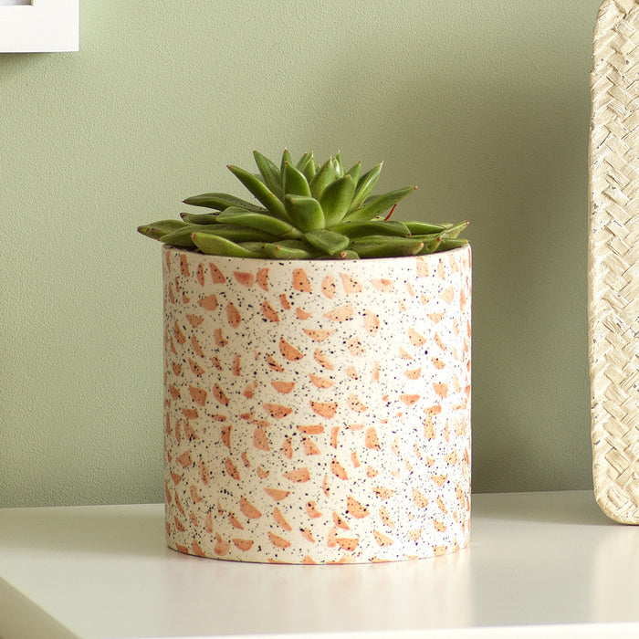 Terrazzo Plant Pot