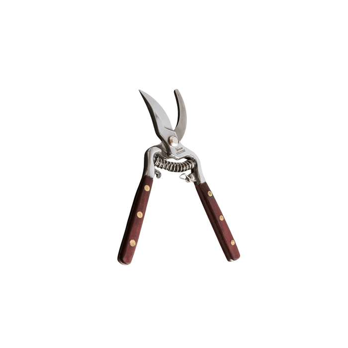 Verve Culture SHOP Thai Kitchen & Garden Shears
