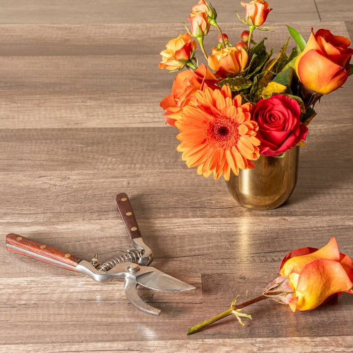 Verve Culture SHOP Thai Kitchen & Garden Shears